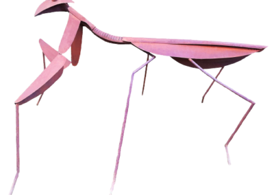 Mantis